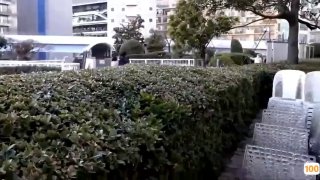 夜夜春宵翁熄性放纵王土根